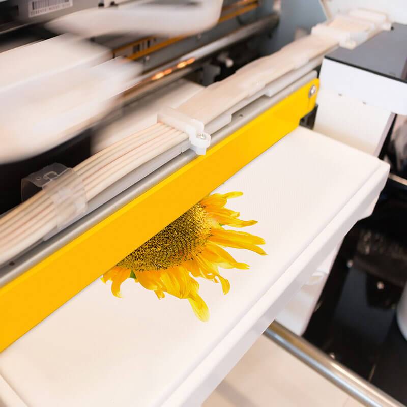 t-shirt printing , t-shirt printing in , screen printing ,  t-shirt printing, t-shirts