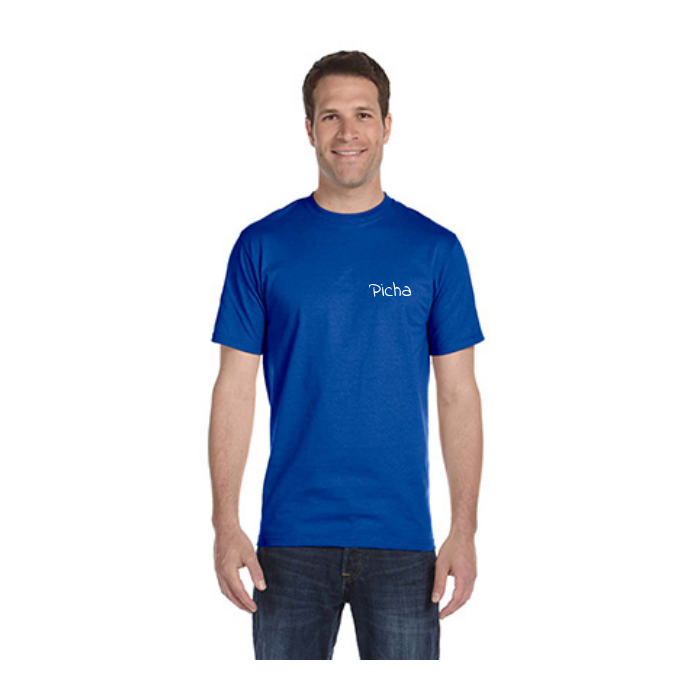 Same Day T-Shirt Printing | Gildan G500