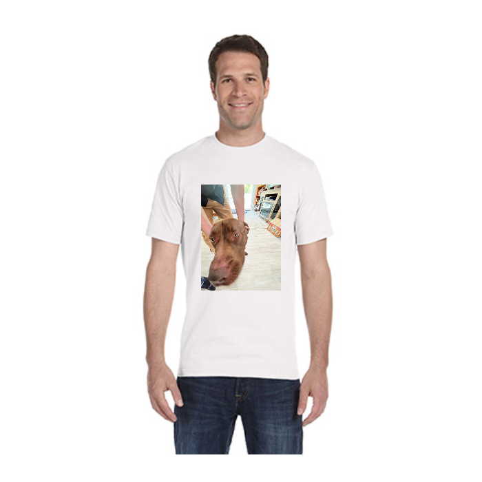 Same Day T-Shirt Printing | Gildan G500