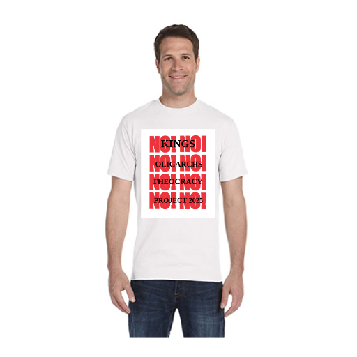 Unisex Adult Heavy Cotton T-Shirt | Gildan 5000