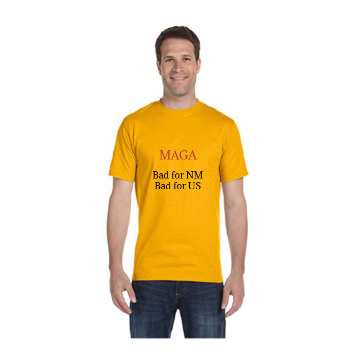 Same Day T-Shirt Printing | Gildan G500