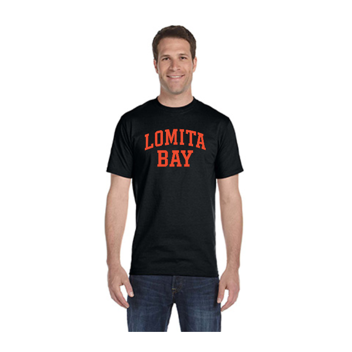 t-shirt printing , t-shirt printing in , screen printing ,  t-shirt printing, t-shirts 