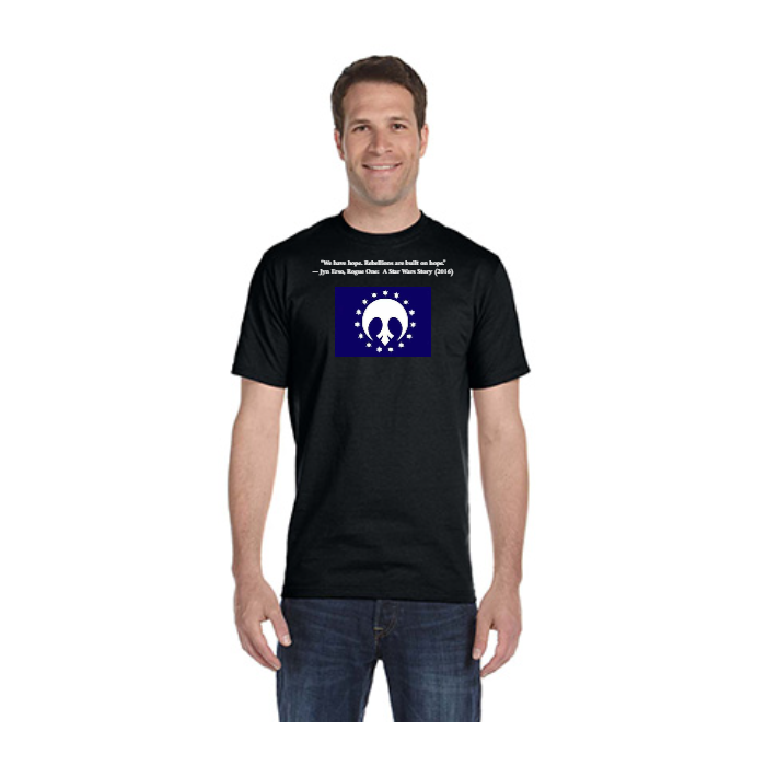 Same Day T-Shirt Printing | Gildan G500
