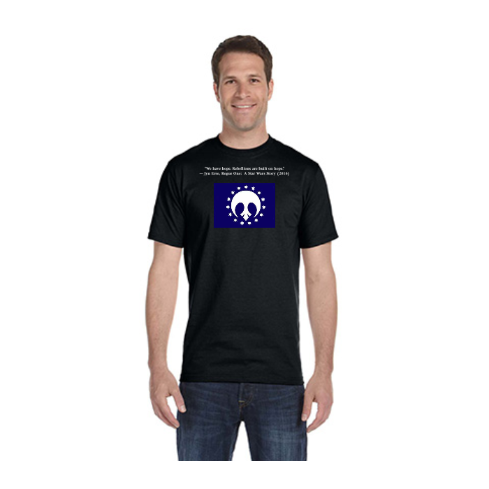 Same Day T-Shirt Printing | Gildan G500