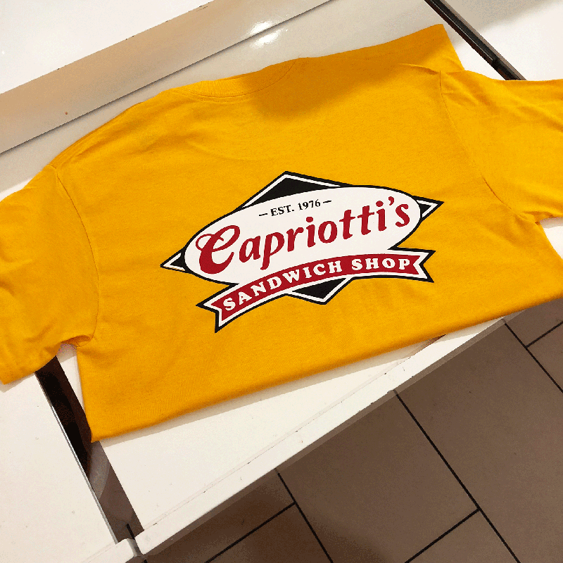 t-shirt printing , t-shirt printing in , screen printing ,  t-shirt printing, t-shirts 